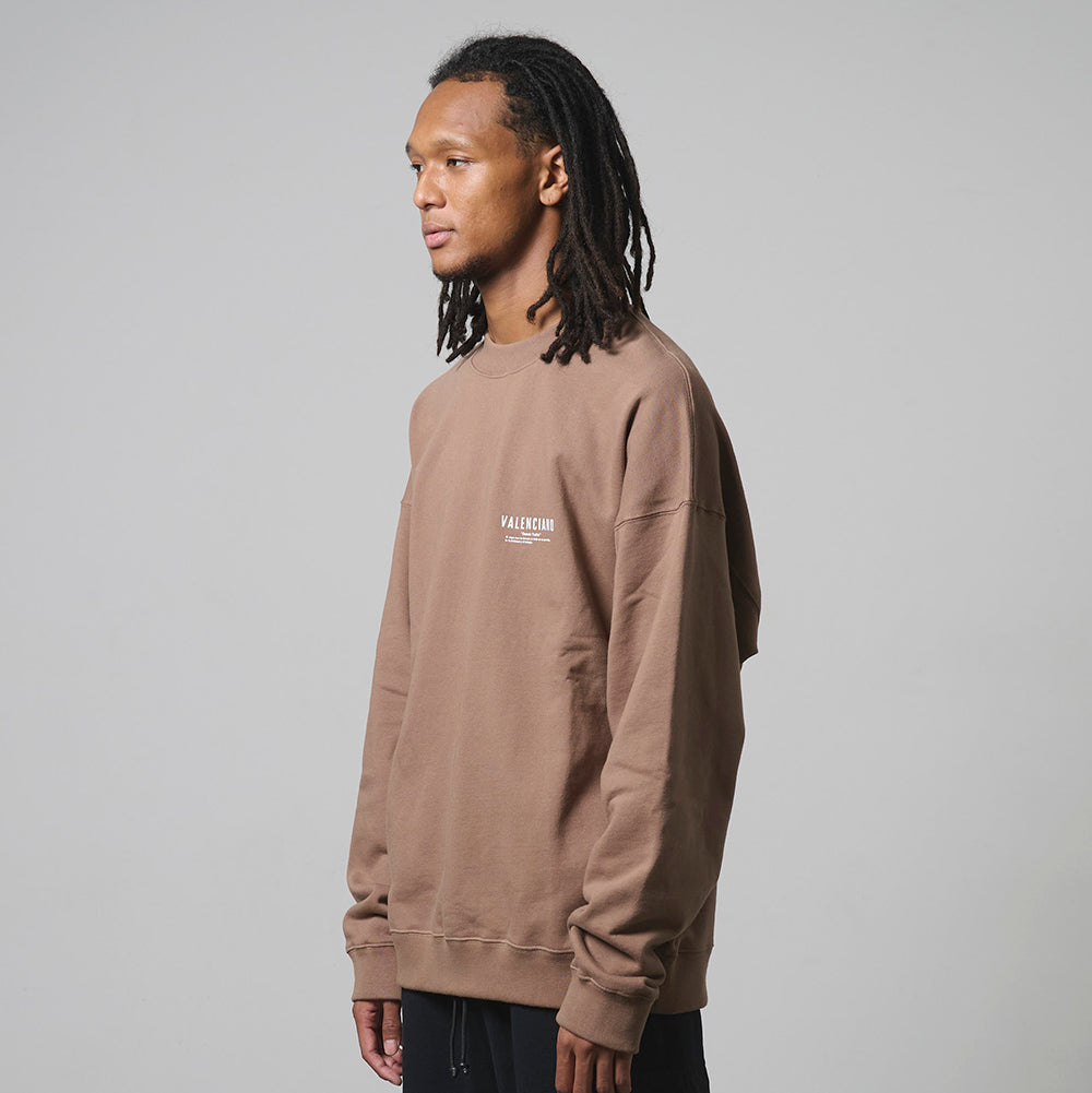 V CREW NECK